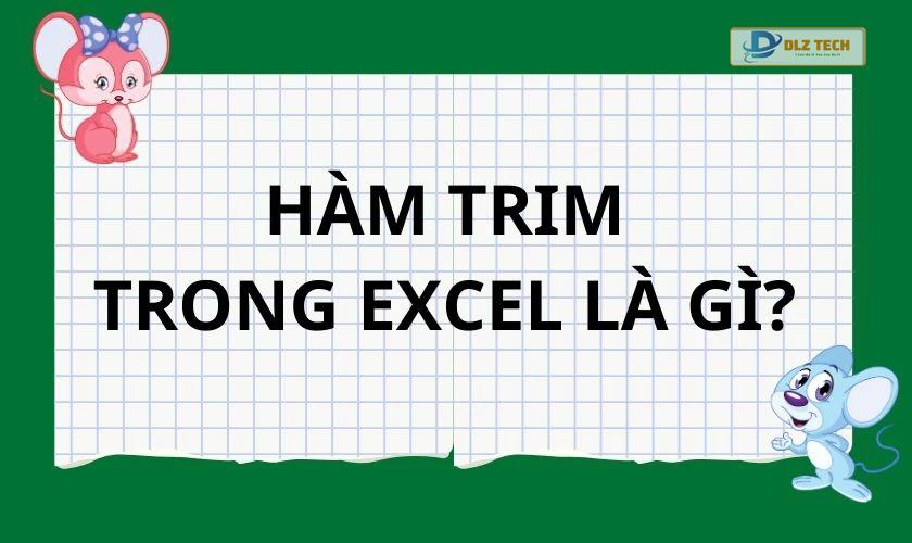 Hàm TRIM trong Excel là gì?