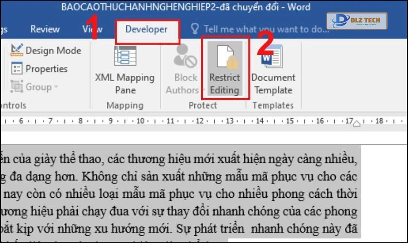 Các thao tác chọn vào thẻ Developer