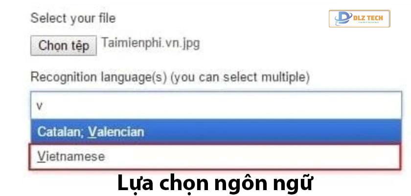 Công cụ online