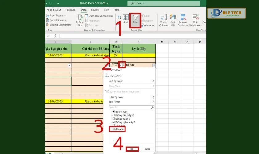 lọc dòng trống trong excel