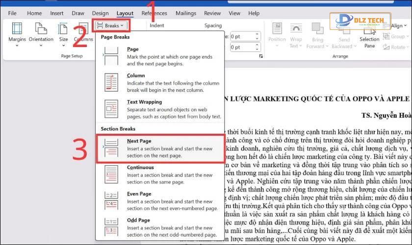 Chọn Next page để ngắt Section