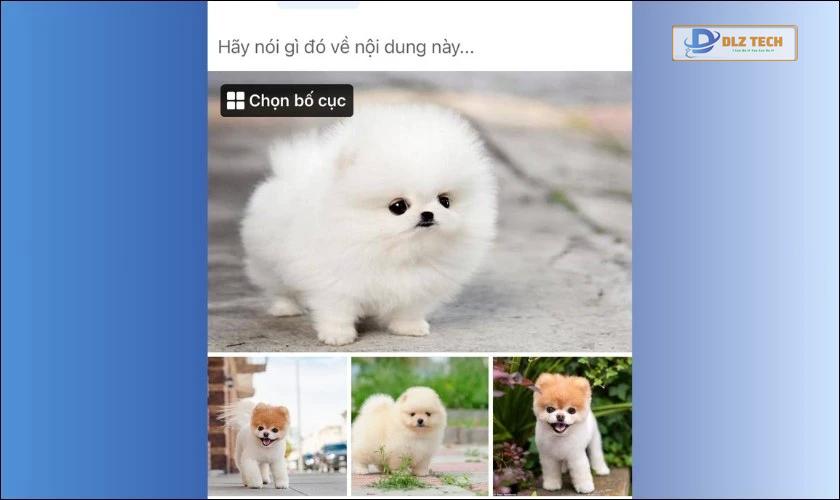 Bố cục ảnh cổ điển