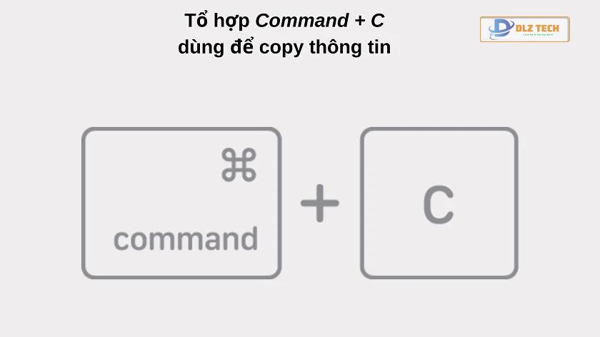 Cách copy paste trên MacBook Pro | Air