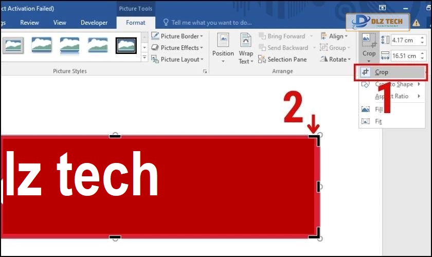 cách cắt hình ảnh trong word theo ý muốn bằng format