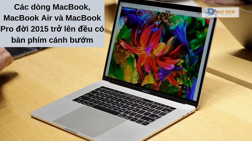 Bàn phím cánh bướm có trên dòng MacBook nào?