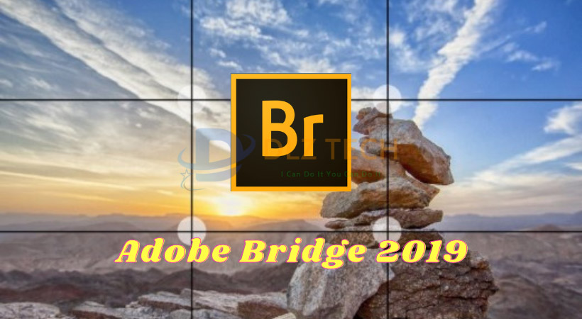 Hướng dẫn cài đặt Adobe Bridge 2019 chi tiết
